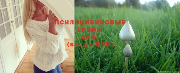 герыч Арсеньев