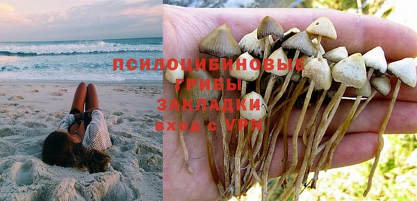 дурь Аркадак