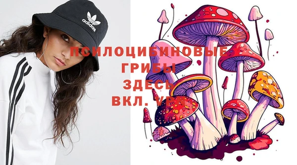 дурь Аркадак