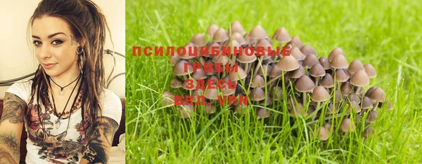 дурь Аркадак