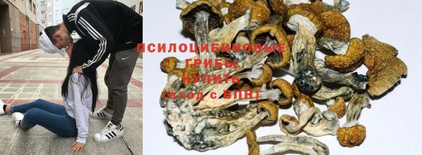 марки nbome Саяногорск