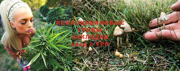 герыч Арсеньев