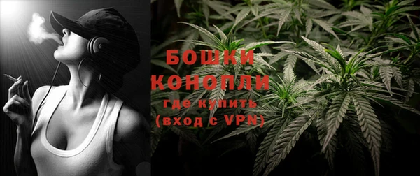 сатива Сафоново