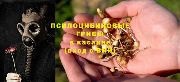 дурь Аркадак