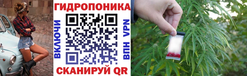 цены наркотик  Вятские Поляны  Марихуана OG Kush 